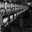 Ceasars World Marketing Information & Reservations Image