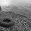 Mr Nobody/Gaston Tire Service