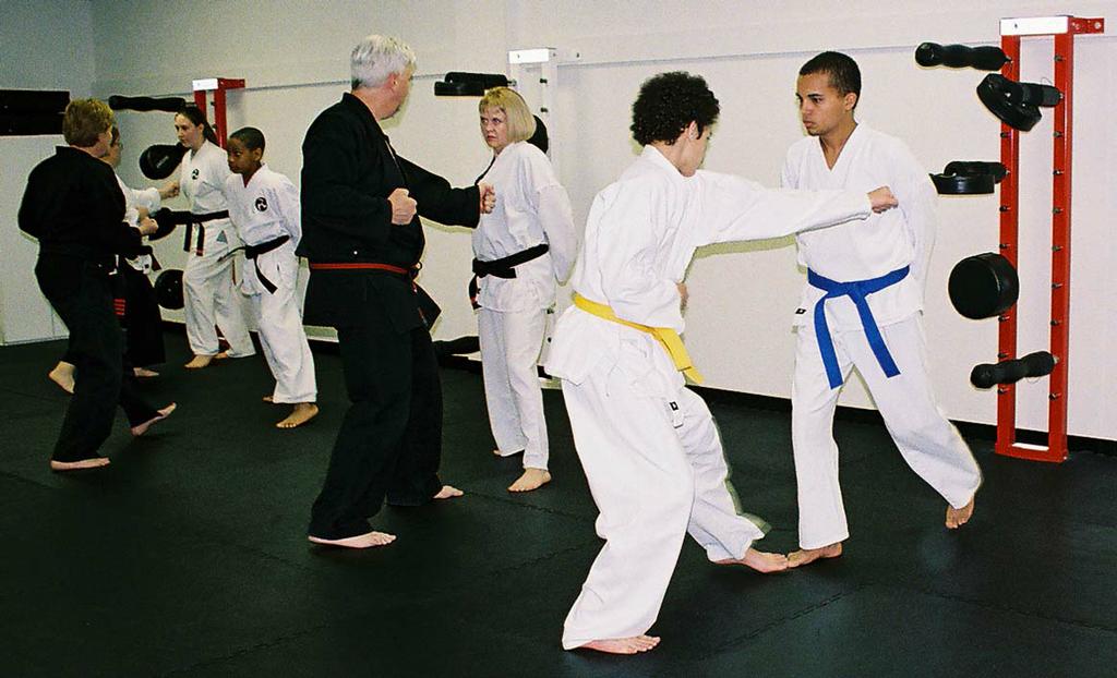 Pictures for Okinawan Martial Arts Academy in Saint Louis, MO 63131