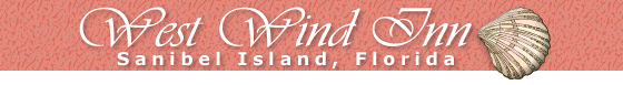 top-banner by West Wind Inn