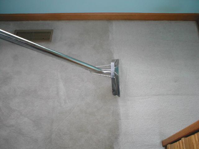 carpet cleaning during by MY Carpet Cleaner & more