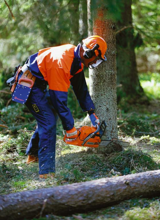 Horne's Hardware & Outdoor Equipment Pink Hill NC 28572 2525684213