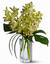 Best Wishes Flowers & Gifts