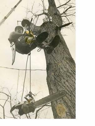  by Dujets Tree Experts Inc.