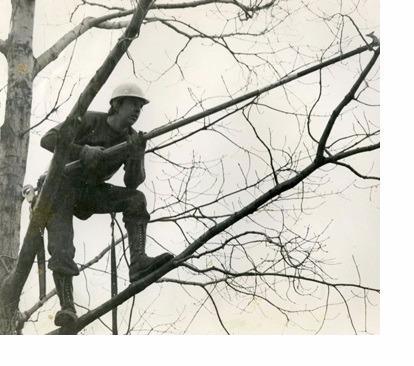  by Dujets Tree Experts Inc.