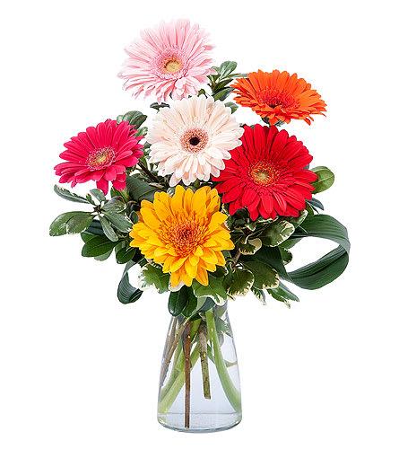  by Denis Flowers & Gifts