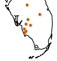 SouthFloridalocations by Capital Pawn