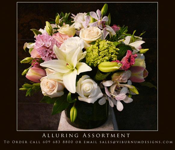 VIBURNUM (Princeton's Premier Florist) Princeton NJ 08540 6096838800
