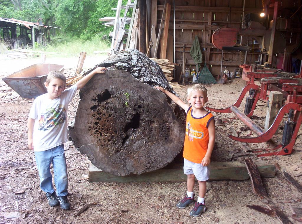 Mill Creek Sawmill Fort Mc Coy FL 32134 3525465715 Lumber