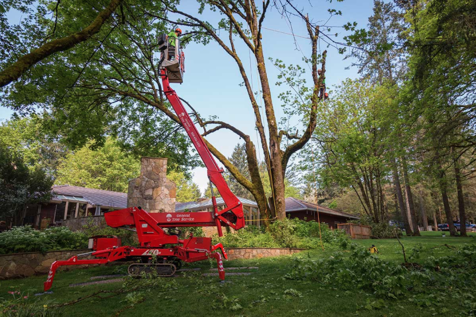 Pictures for General Tree Service in Beaverton, OR 97008