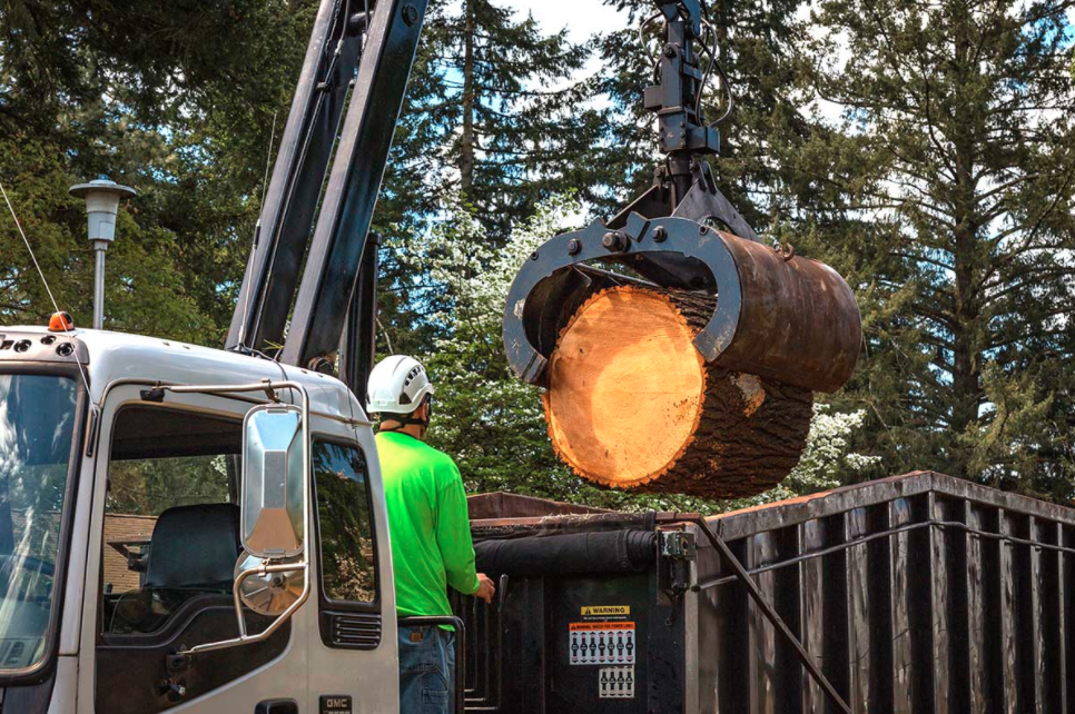 Pictures for General Tree Service in Beaverton, OR 97008