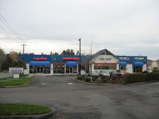 Software Electronics Corp