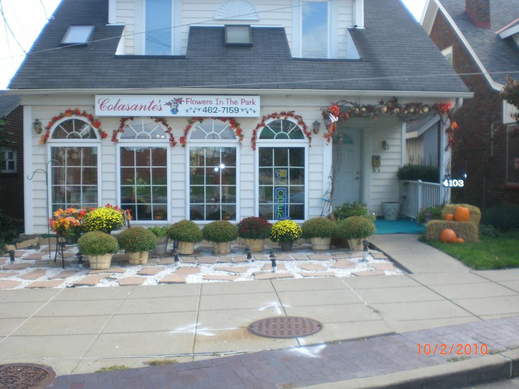 fall pic 003 by Colasante's Flowers In The Park