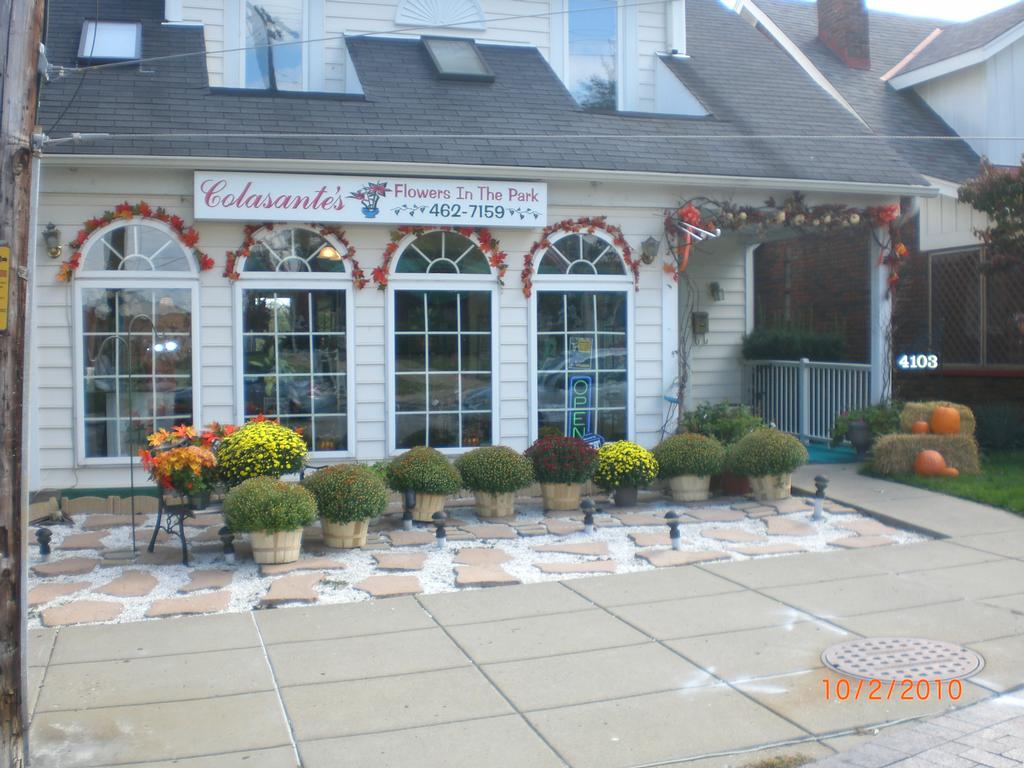 fall pic 004 by Colasante's Flowers In The Park