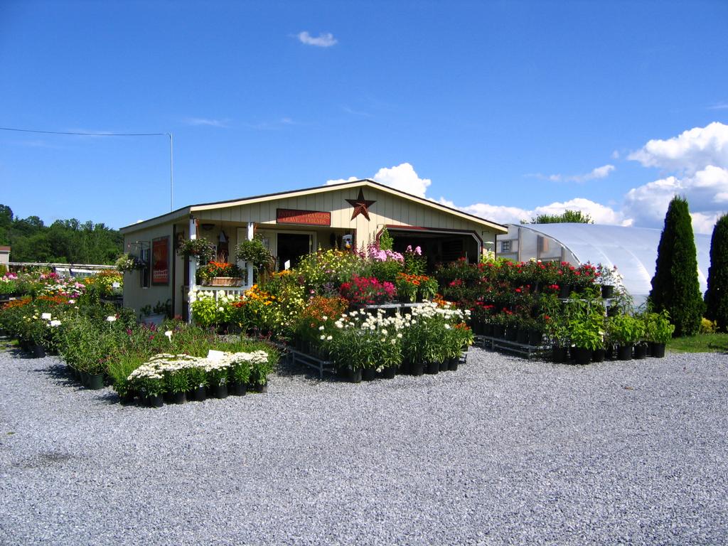 Geist's Nursery Hamburg PA 19526 6105620880 Nurseries