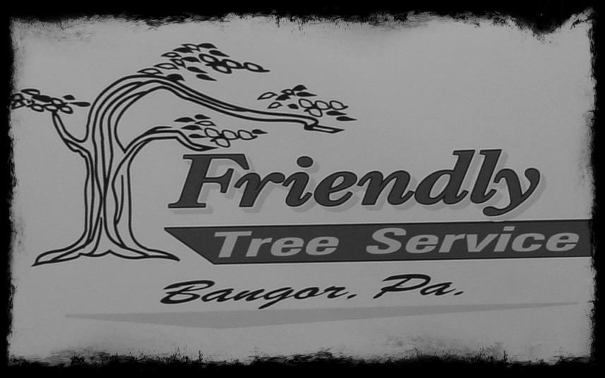 photo by Friendly Tree Service