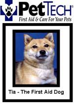 All Creatures Great & Small, LLC