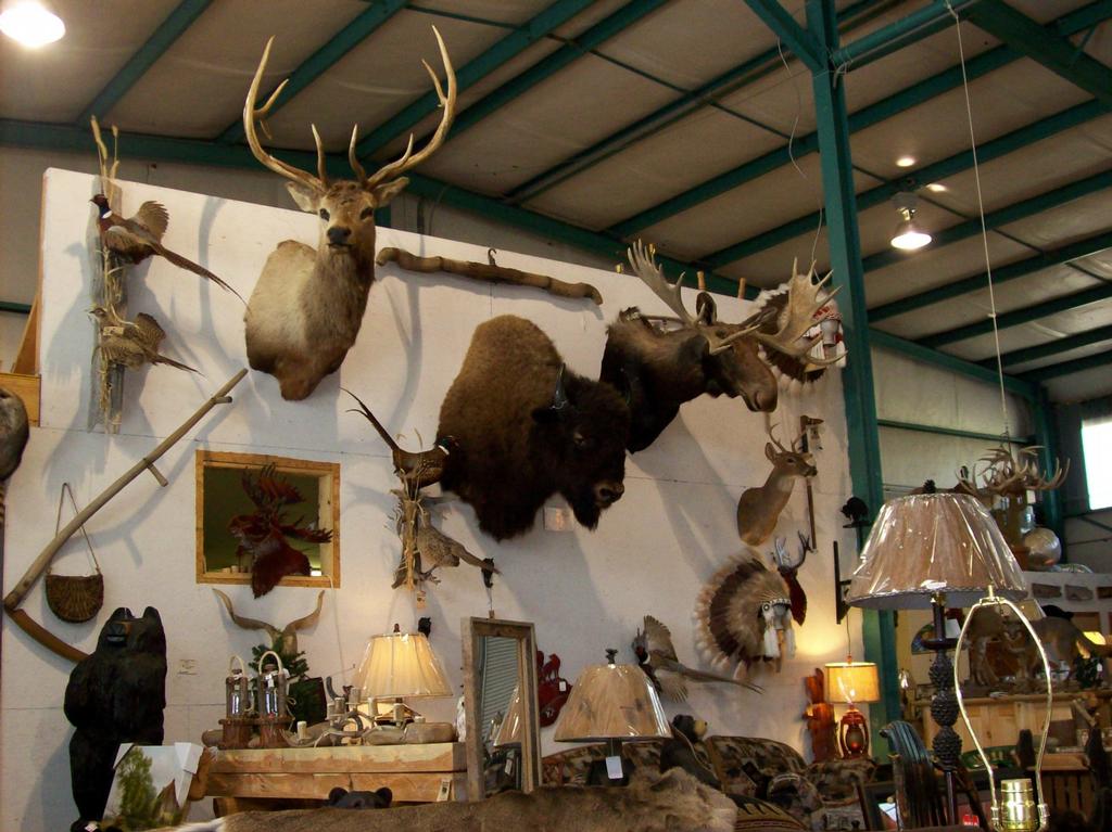 Our Wall Mounts by Great Rustic Furniture Company