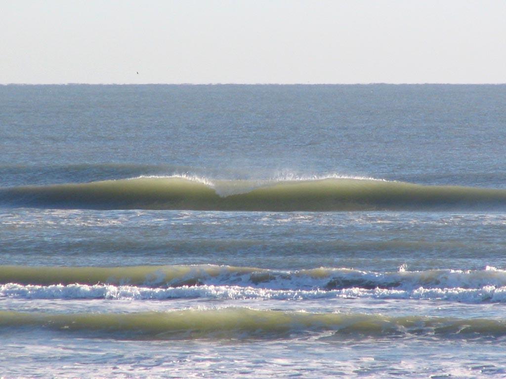 Island Tackle Port Aransas TX 78373 3617491744 Fishing