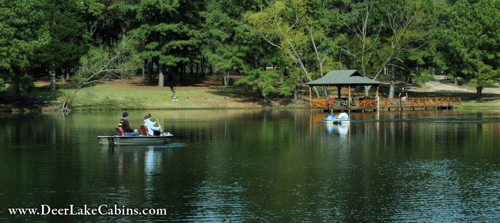 Pictures For Deer Lake Cabins In Scroggins Tx 75480