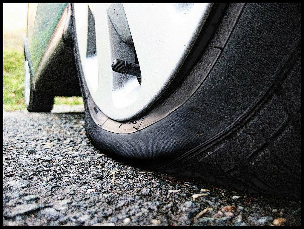 Family Tire Distributors Hollywood FL 33020 9549228473 Tires