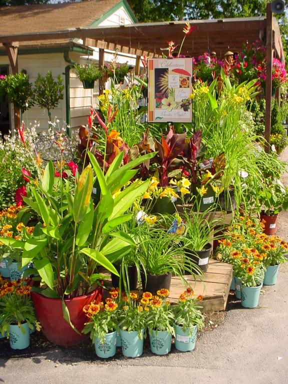 McDonald Garden Centers Virginia Beach VA 23455 7574645564