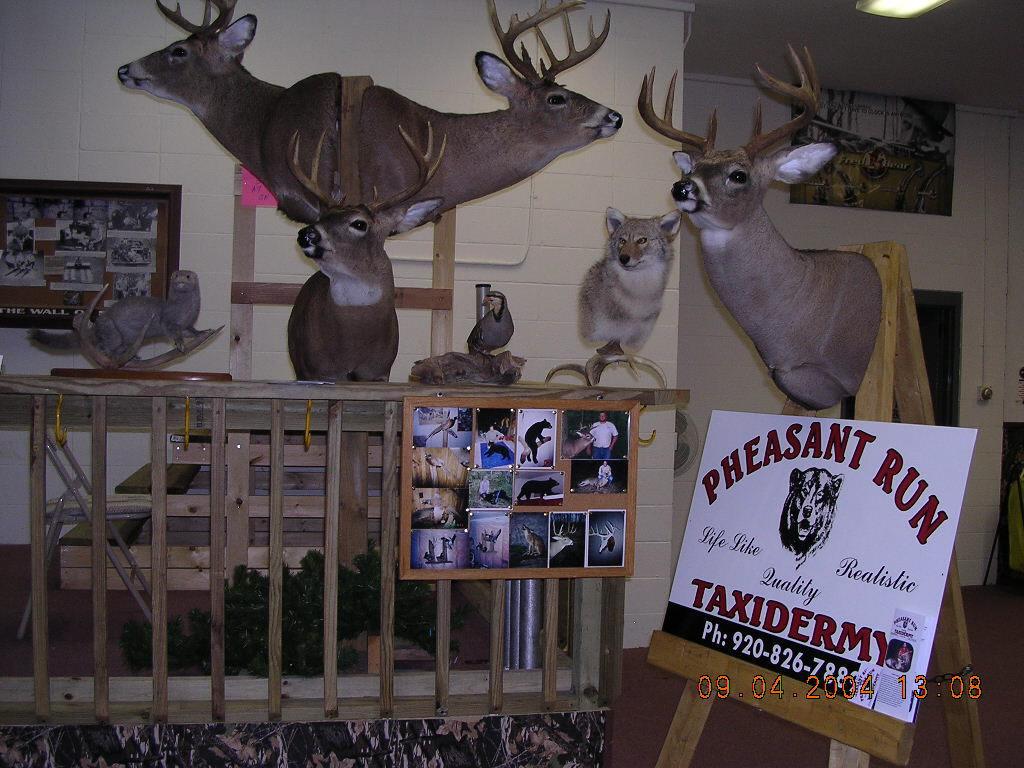 Pheasant Run Taxidermy Little Suamico WI 54141 9208267889