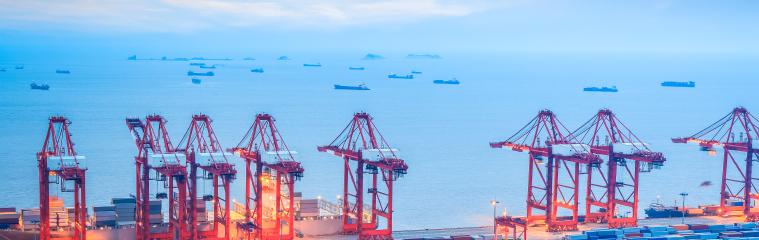 ocean-export-services by MTS Logistics Inc