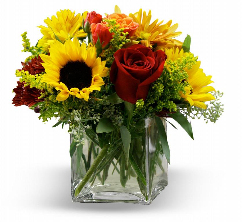 Bosses Day Flowers by Flowers From The Rainflorist