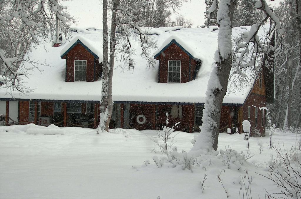  by Blonde Bear Bed and Breakfast