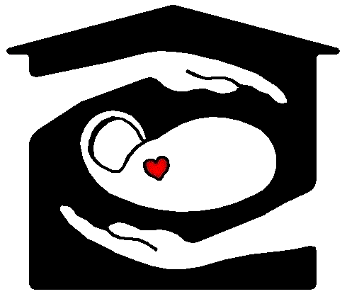 logo-web by Nanny Network Inc