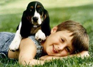 Boy_beagle by Dog Guard