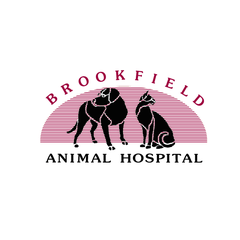 Brookfield Animal Hospital