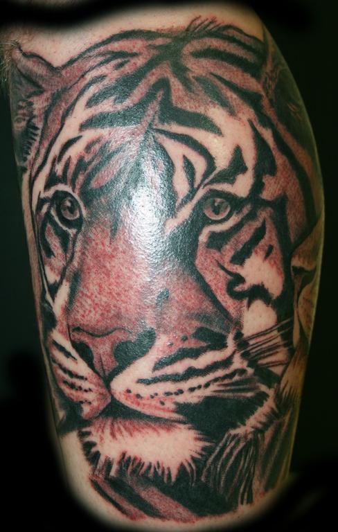 tiger fresh by Monster Monkey Studios Custom Tattoo