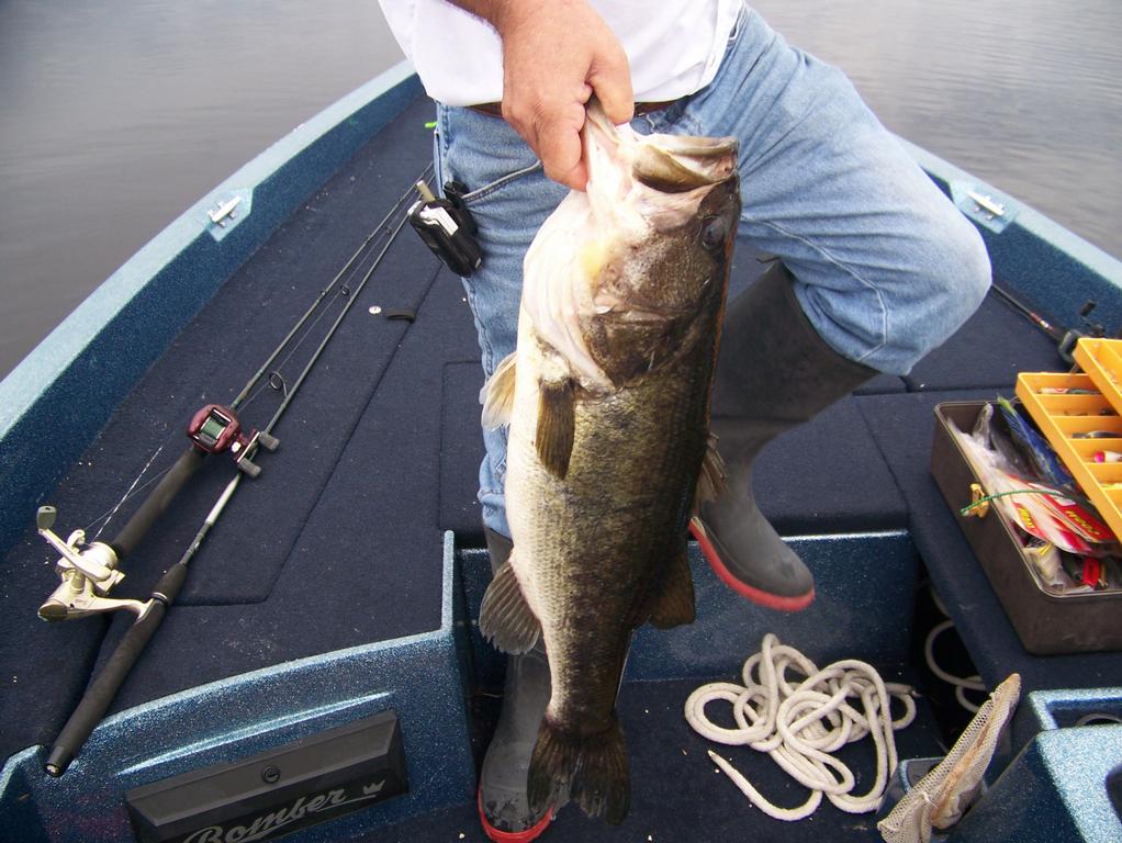  by Addictive Freshwater Bass Fishing, www.bigbassguideservice1.com