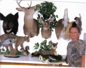 Vet Pets Panama City Beach Florida Vet Pets Panama City Beach Florida