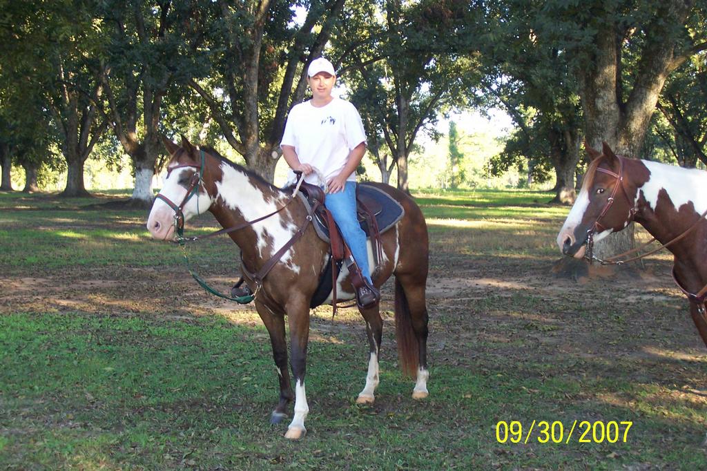 Houston Lake Stables & Boarding Perry GA 31069 4788083262