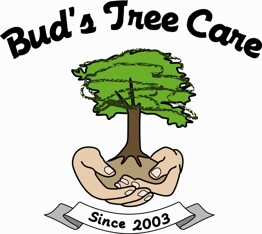 BudsTreelogo from Bud's Tree Care in Villa Grove, IL 61956