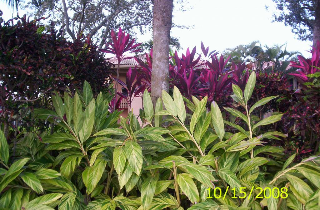 ltadpics 044 by Landscape Techniques