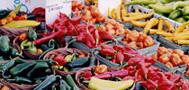 farmers-market by Journeys