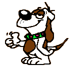 cooldog by Kent Island Pet Sitting