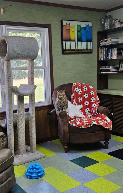  by Timberline Pet Ranch