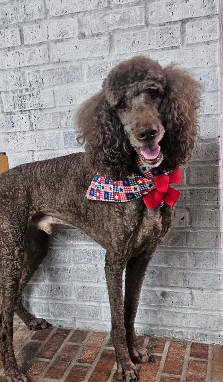  by Timberline Pet Ranch