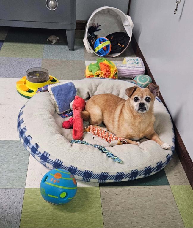  by Timberline Pet Ranch
