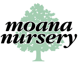 The Florist At Moana Nursery Reno Nv 89509 877 630 1124 Oldcolorlogo Image001 By The Florist At Moana Nursery