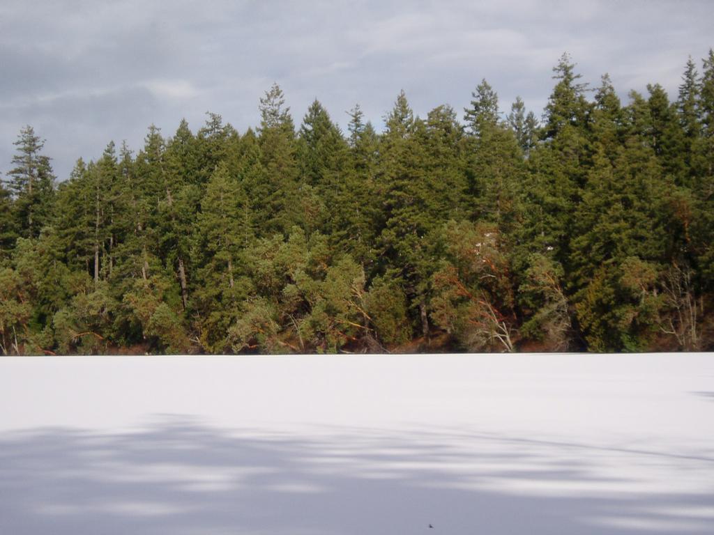 Clearwood Home Inspection Yelm WA 98597 3608943030