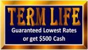 TermLifeLogo175x100 by Lexington SuddenValues