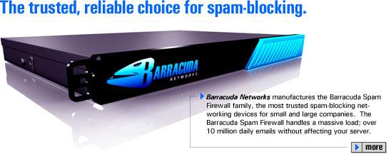 Barracuda by Real People