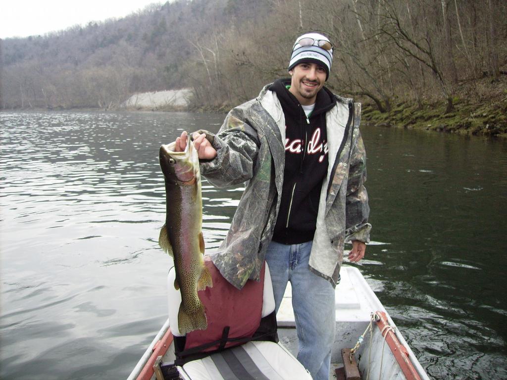 Bull Shoals, Arkansas Bull Shoals AR 72619 8704454775