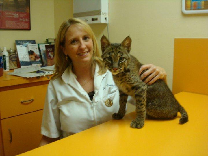 Union Park Animal Hospital Orlando FL 32817 4072736010